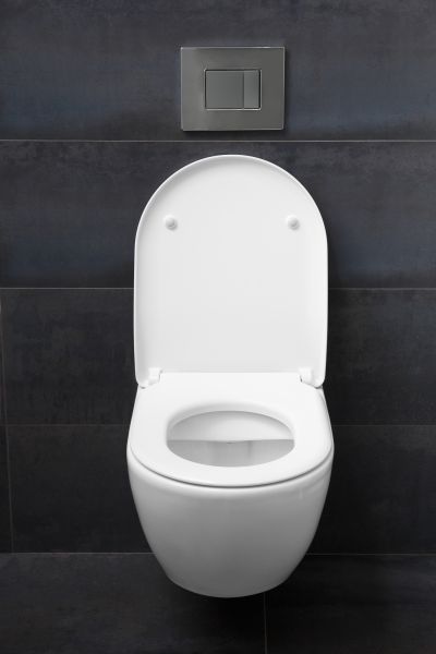 Toilet Lid Installation in Willoughby