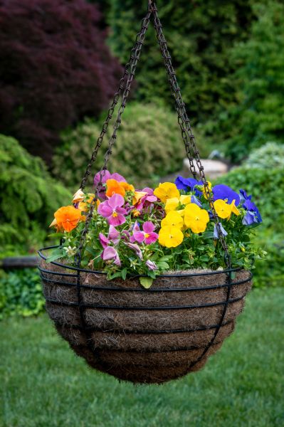 Hanging Basket Installation in Willoughby