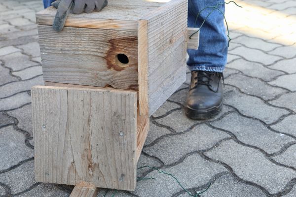 Birdhouse Mounting in Willoughby